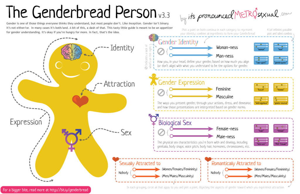 Genderbread-Person-3.3.0